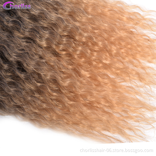 Wholesale Soft Goddess Water Wave Ombre Kinky Curly Crochet Braids Afro 20 Inches Marley Hair Synthetic Braiding Hair Extensions